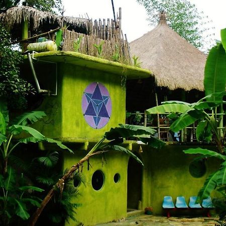 Casa Caracol Ξενοδοχείο Σαν Λουίς Ποτοσί Εξωτερικό φωτογραφία