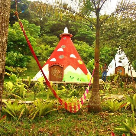 Casa Caracol Ξενοδοχείο Σαν Λουίς Ποτοσί Εξωτερικό φωτογραφία