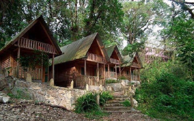 Casa Caracol Ξενοδοχείο Σαν Λουίς Ποτοσί Εξωτερικό φωτογραφία